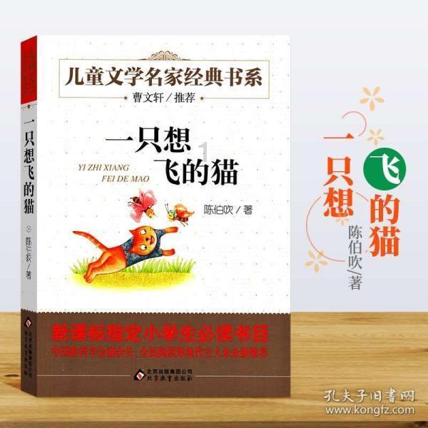 探索天生带煞之体是什么意思?,解锁你的疑问