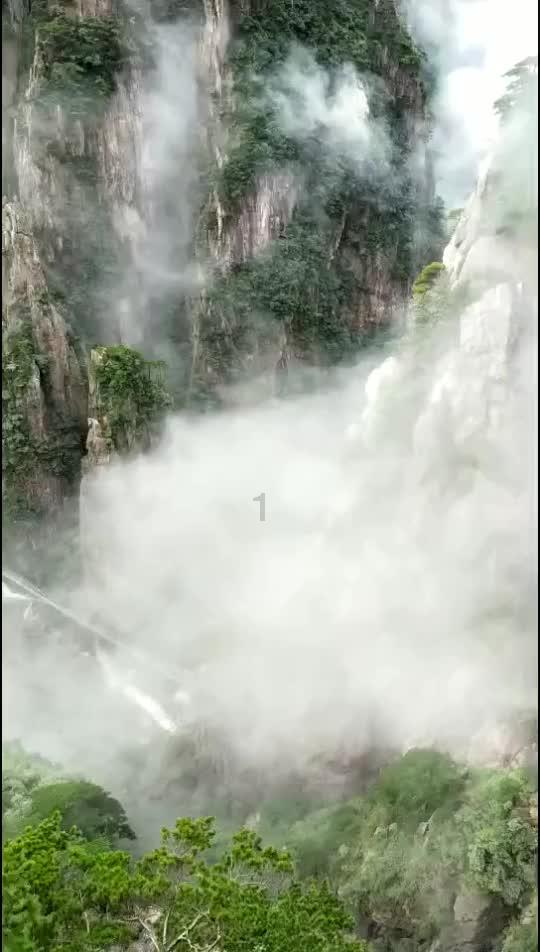 虫虫助手下载